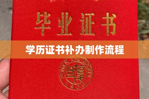 民权学历证书补办制作流程