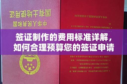 尼木签证制作的费用标准详解，如何合理预算您的签证申请成本